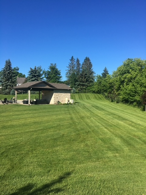 Beautiful lawn maintained by Cut Away